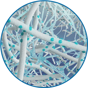 Tecnologia TearStable™ per MAX comfort