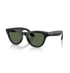 RayBan Meta Skyler (Shiny Black - Verde G-15)
