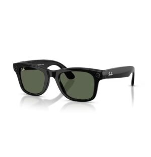 RayBan Meta Wayfarer (Black- G-15 verde)