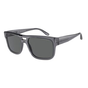 Emporio Armani 4197 502987 - Transparent Grey